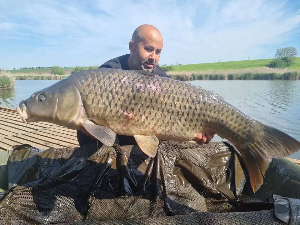 Ponton de lemn pe Balta Lazăr Alexandria