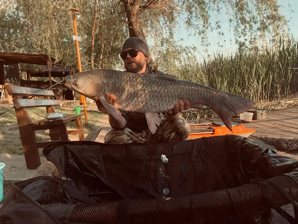 Peisaj cu Balta Lazăr Alexandria, loc de pescuit și relaxare în natură