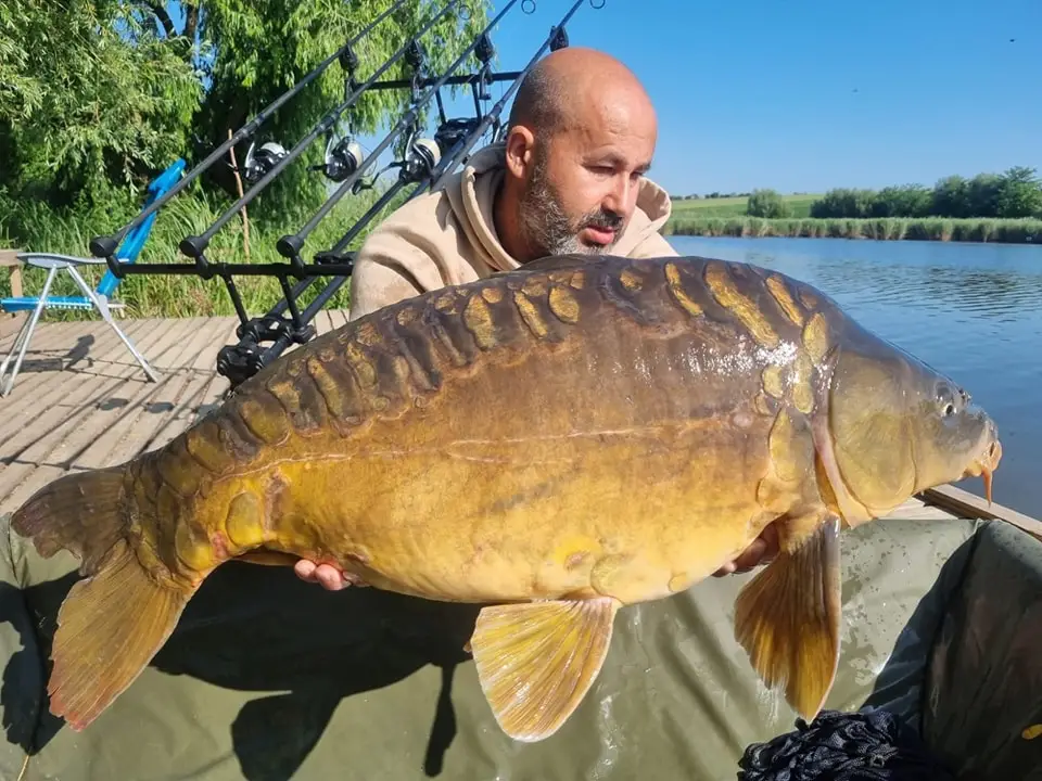 Foișor, grătar și bancă lângă baltă